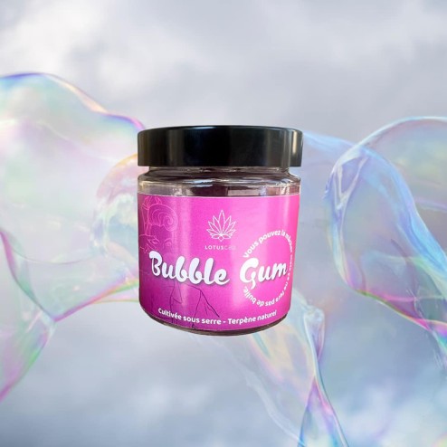 Bubble Gum 5g